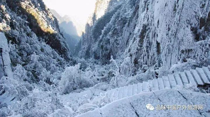 花甲粉丝煲怎么做？花甲要不要焯水？游戏画面