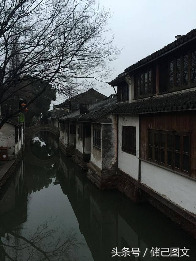 米乐米可森林大冒险