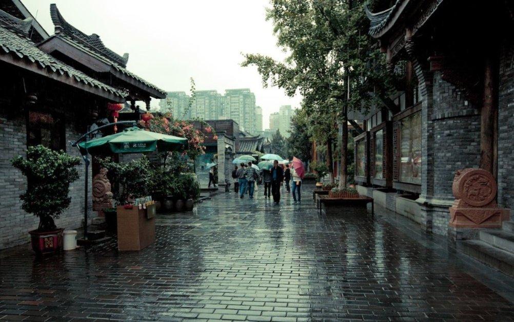 救援受困的萌兔